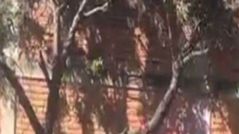 "Huachicolofosa", huachicoleros también entierran a sus víctimas en México