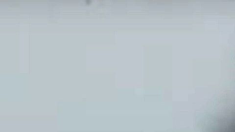 Los agentes detuvieron a cuatro persona en un solo día.