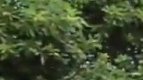 El operativo se realizó en San Francisco, California.