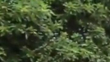 El operativo se realizó en San Francisco, California.