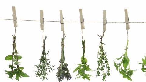 Esta original tisana actúa como limpiador natural, combatiendo la acidez y estimulando una correcta digestión.