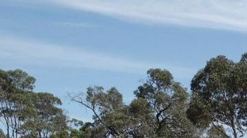 El diseñador de este modelo clásico de Ford, murió en una versión restaurada de su invención.