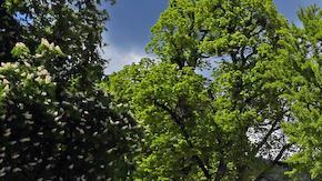 Aston Martin, Bentley, Bugatti, Ferrari, Koenigsegg, Lamborghini, Maserati, Mercedes-Maybach y Porsche, con modelos que van desde autos hiper hasta lujosos convertibles y limusinas.