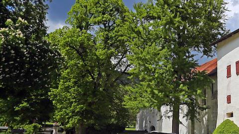 Aston Martin, Bentley, Bugatti, Ferrari, Koenigsegg, Lamborghini, Maserati, Mercedes-Maybach y Porsche, con modelos que van desde autos hiper hasta lujosos convertibles y limusinas.