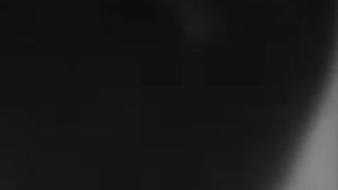 "Te van ayudar", dijo AMLO a López días antes de su desaparición.