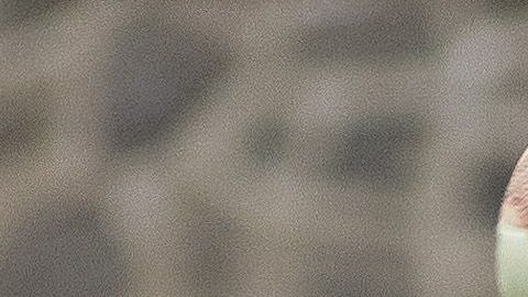 Darío Benedetto debutará en Europa con el Olympique de Marsella.