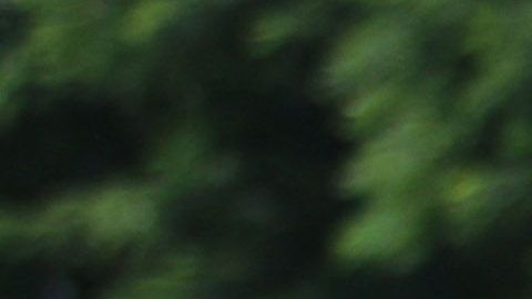 Norma Palafox anunció que hará una pausa en su carrera como futbolista para participar en Exatlón.