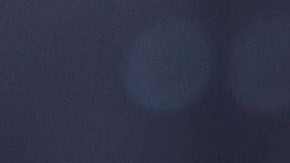 Veracruz le debe a Memo Vázquez, al cuerpo técnico y a varios futbolistas