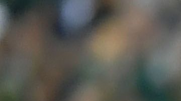 Giovani Dos Santos y América llegan a un acuerdo.