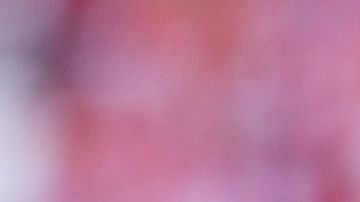 Paolo Guerrero. / Foto: Imago7