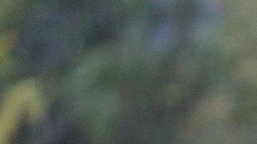 Leonel López fue cedido por un año al ‘ave’