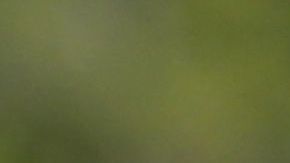 La clavadista Paola Espinosa en guerra con diputados mexicanos