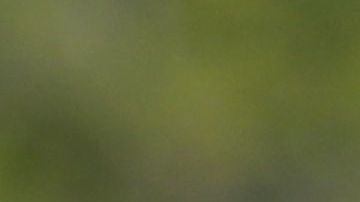 La clavadista Paola Espinosa en guerra con diputados mexicanos