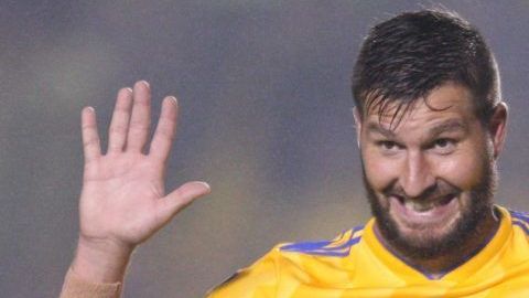 Los Tigres de la UANL son el rival a vencer una vez más en la Liga MX