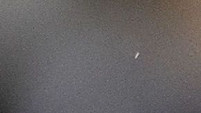 La Fiorentina busca fichar a Chicharito.