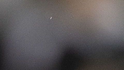 La Fiorentina busca fichar a Chicharito.