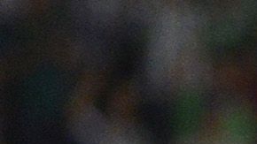 Se trata de un partido de desquite porque el León eliminó al América en las semifinales del torneo pasado