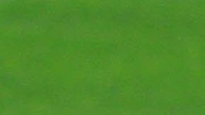 Giovani Dos Santos sorprendió a propios y extraños entrenando con la Selección Mexicana