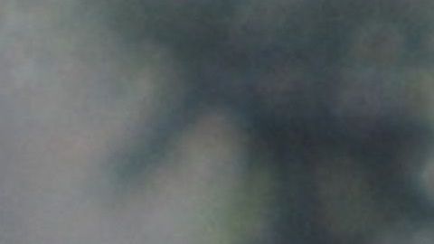 Gio Dos santos debutaría hoy contra Pumas.