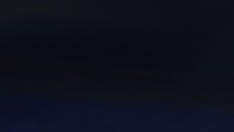 Tomás Boy no ha podido hacer jugar a Chivas, de nuevo otra derrota contra Benfica.