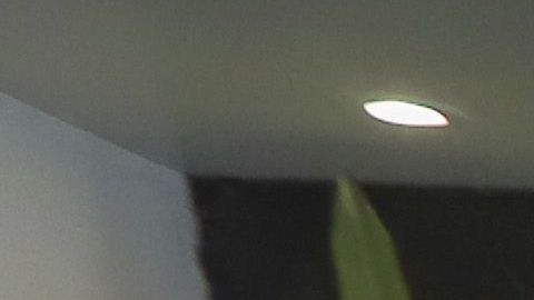 “El Perro” Aguayo fue despedido entre aplausos