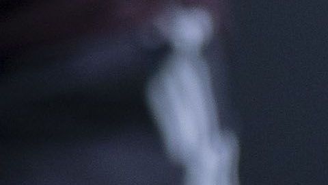 ¿Cuánto crees que vale Edson Álvarez? Esto es lo que ofrecen en Europa por él.