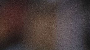 “Me pelan la ver…”: el video de Salcedo que está rompiendo Internet.