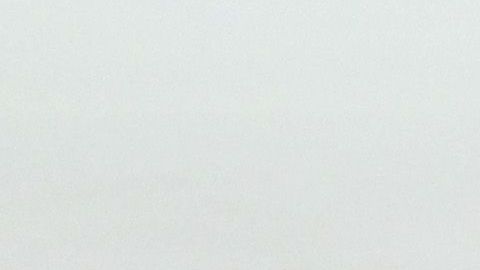 El “Pollo” indicó que el Guadalajara es el equipo más importante de México