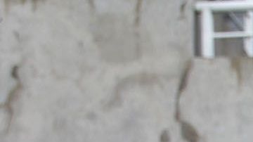 Nicolás Freire está listo para enfrentar a Necaxa.