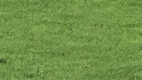 América consigue su sexto trofeo como Campeón de Campeones