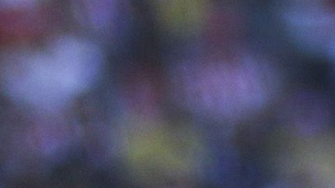 Pumas jugó con cinco mediocampistas y un delantero.