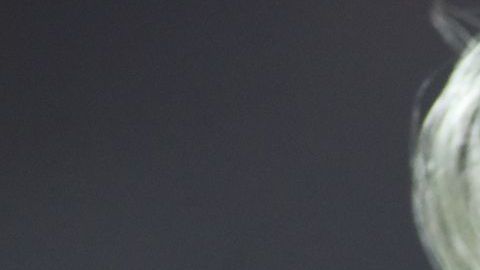 Los Tigres jugarán el miércoles en la Leagues Cup contra el Real Salt Lake