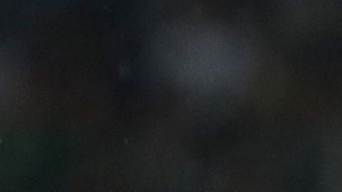 El ‘perroso’ tiene muy molestos a los seguidores de Cruz Azul