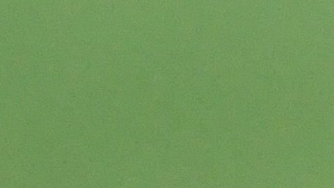 Las mexicanas no pudieron con sus fallas en defensa y para definir y cayeron 2-1 ante las paraguayas