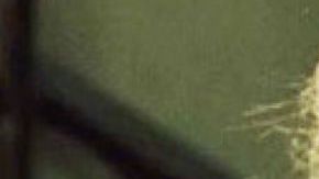 Jennifer Lawrence en "House at the end of the street"