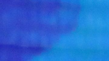 Kamala Harris avanzó en preferencias electorales tras debate demócrata, a diferencia de Julián Castro.