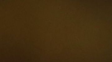 Argentina y el ‘Kun’ Agüero, seguirán en CONMEBOL con todo y la supuesta corrupción de la que han sido víctimas.