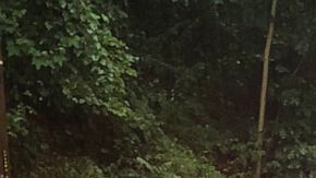 Carretera transformada en un río