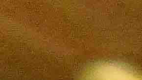 Mosco X-Fly encabeza el cartel a beneficio del exluchador La Araña este 28 de julio en Waukegan. (Javier Quiroz / La Raza)