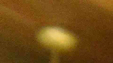 Mosco X-Fly encabeza el cartel a beneficio del exluchador La Araña este 28 de julio en Waukegan. (Javier Quiroz / La Raza)