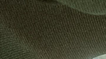 Los conductores novatos deben manejar sin distracciones o motivos para cometer infracciones