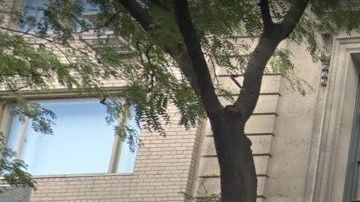 Su mansión de siete pisos en  9 East 71 St, UES