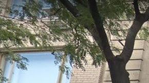 Su mansión de siete pisos en  9 East 71 St, UES