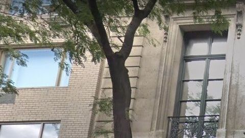 Su mansión de siete pisos en  9 East 71 St, UES