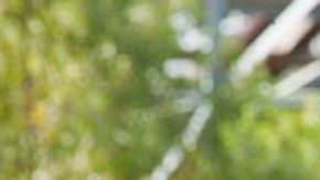 Matthew McConaughey en "Killer Joe"