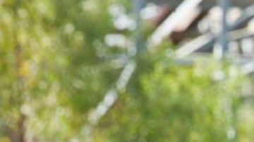 Matthew McConaughey en "Killer Joe"