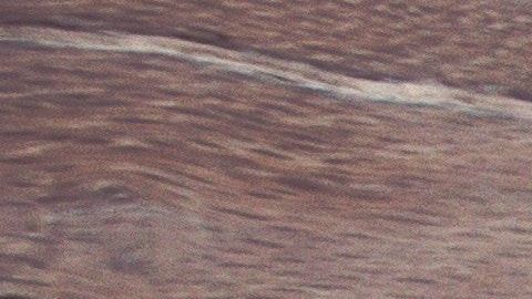 Preparando estos snacks podrás mejorar tu sistema inmunológico y reducirás el colesterol y azúcar en la sangre.