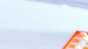 Este par de melones se llegaron a vender en  $12,400 dólares en 2015, y a la gente parece no importarle pagar cada vez más.