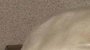 Los fardos estaban ocultos en un Volkswagen blanco.