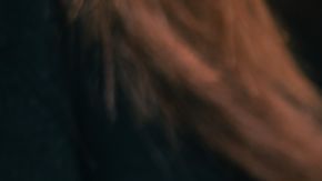 No tienes que pagar el precio completo si sabes en qué momento comprar.